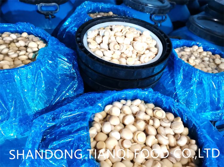 Whole white mushroom in salted water in drums