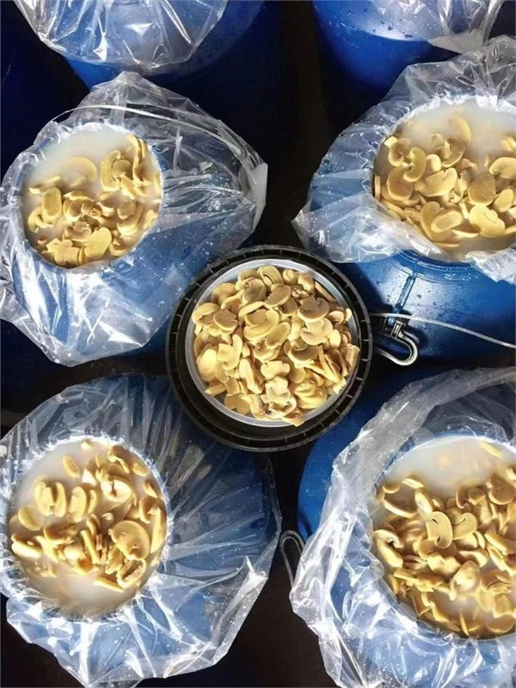 Pickled white mushroom in salty water in drums