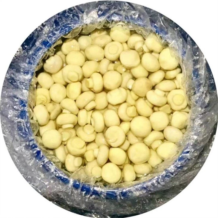 Preserved factory white mushroom in brine in drums