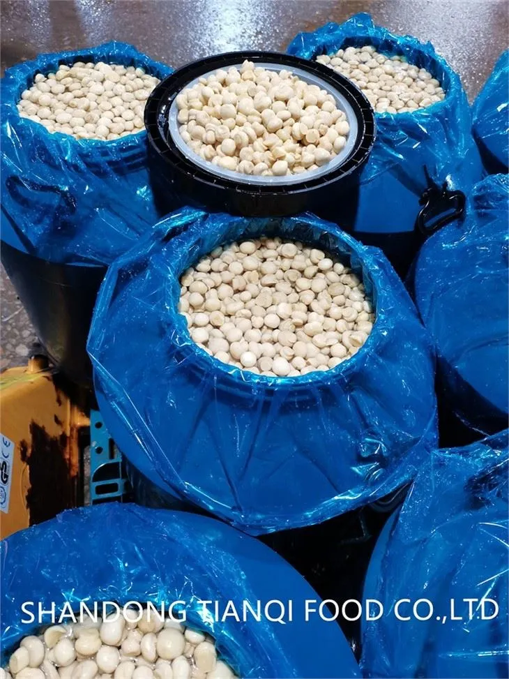 PNS champignon mushroom in brine in drums