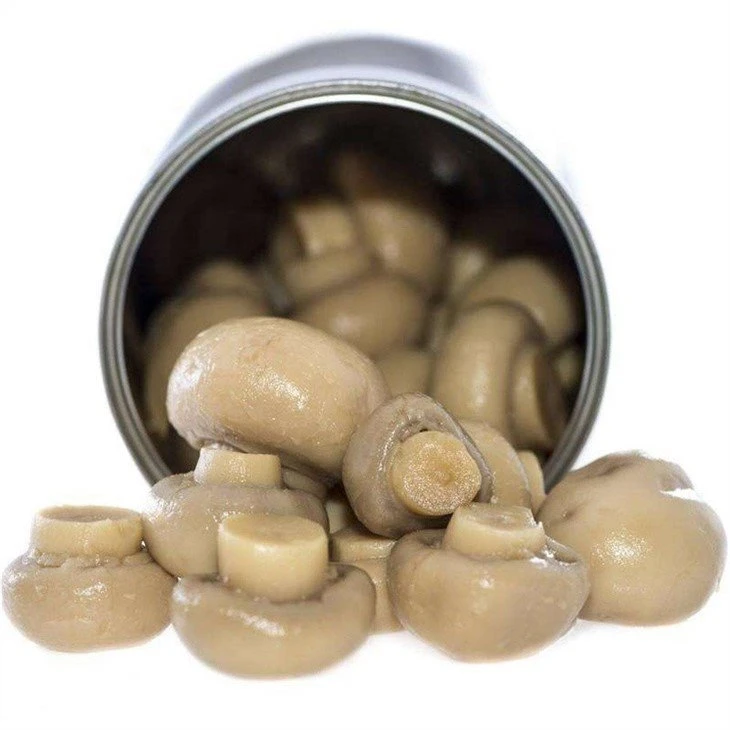 Preserved whole white mushroom in drums