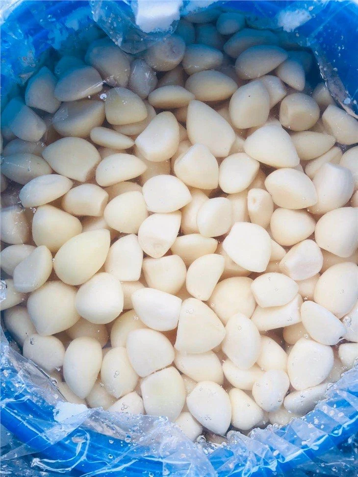 White peeled garlic cloves in brine in drums