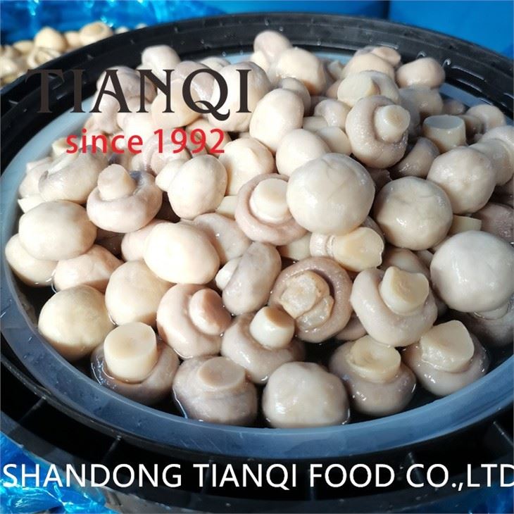 White champignon mushroom in salted water