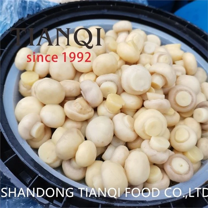 Brined Salty White Mushroom in Drums