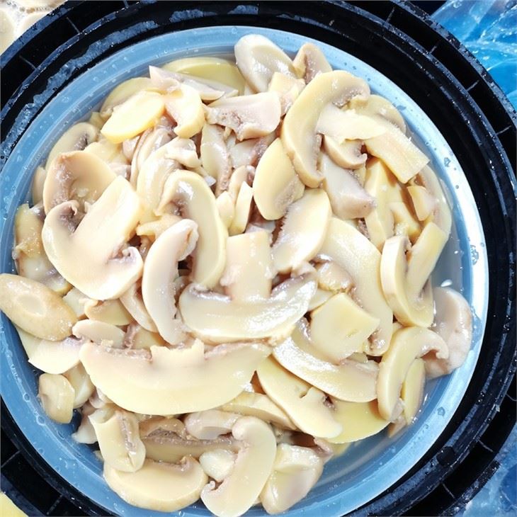 Drum packing PNS brined mushroom in drums
