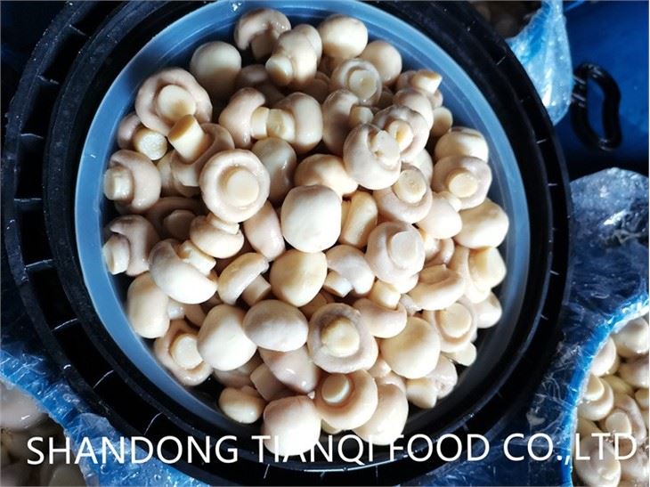 Whole & PNS Champignon Mushroom  in brine in drums