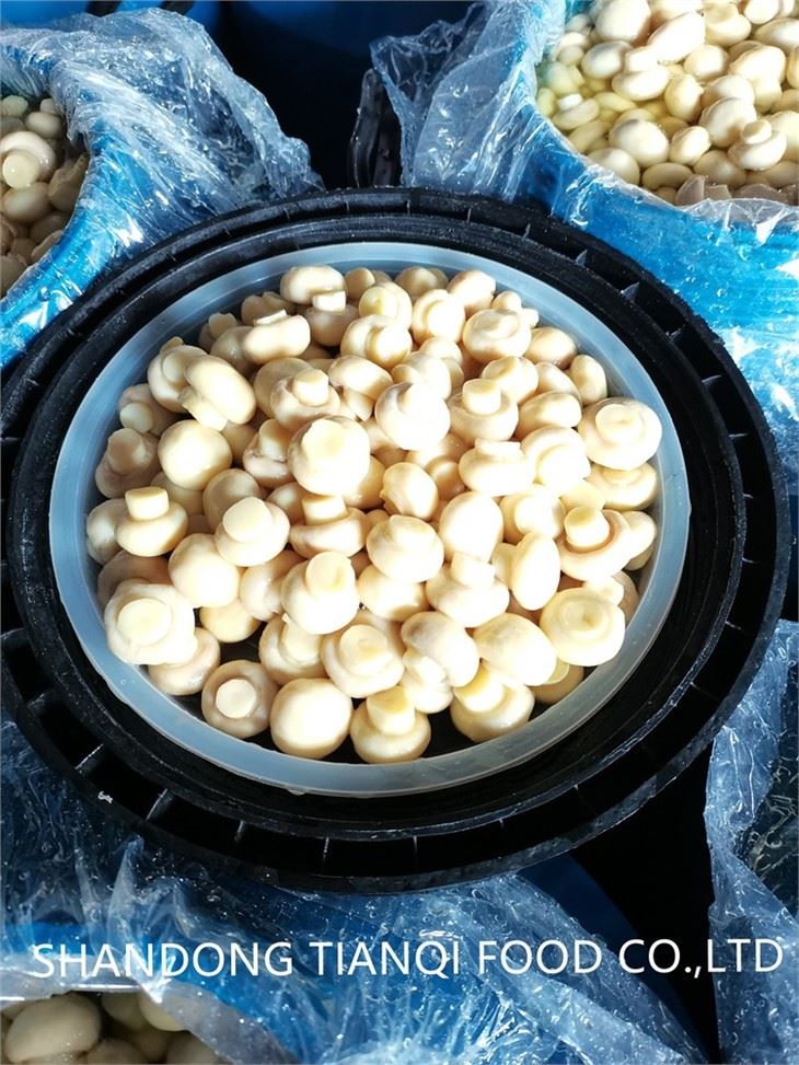 Whole & PNS white mushroom in brine in drums