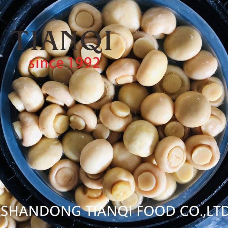 3-5cm whole White Mushroom in Brine in Drums