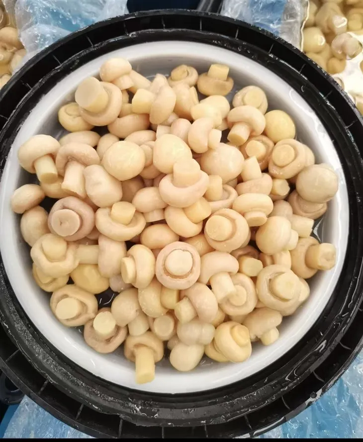 Szeletelt fehér gomba sós lében dobban